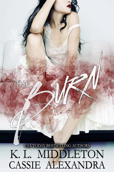 The Burn (Enemies to Lovers Bully Romance) (Diamond Lake Romance Book 1)
