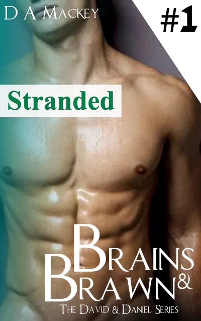 Brains & Brawn (Book 1) : The David and Daniel Series: Stranded (Passion Paradox: David and Daniel)